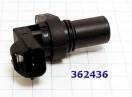 (Заказывать по позиции 362436-EM) Датчик выходных оборотов, Sensor, Ou 365436-EM (ELECTRICALS) 42621-39052, 42621-39200