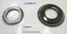 Комплект (2 шт) обрезиненных поршней, 0B5, DL501 (DSG) 2008-Up 123008B-PT (PISTONS AND RETAINERS)