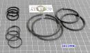 Комплект (10 шт) компрессионных чугунных и тефлоновых колец  6HP19 / 2 181199K-AT (SEALING RINGS)