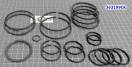 Комплект (20 шт) компрессионных тефлоновых колец, V4A51 / V5A51 / R5A5 363199CK-AT (SEALING RINGS)