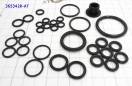 Комплект уплотнений гидроблока и соленоидов A4CF1 / A4CF2 365342K-AT (SEALING RINGS)