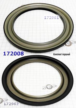 Комплект (2шт) обрезиненных поршней  "С" и "D", ZF4HP16 Piston set, (2 (PISTONS AND RETAINERS)