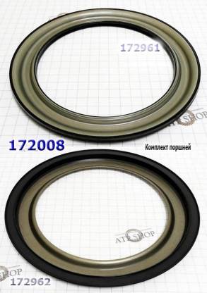 Комплект обрезиненных поршней ZF4HP16 (2шт) состоит из 172961 + 172962 (PISTONS AND RETAINERS)