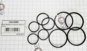 Комплект (9 шт) компрессионных тефлоновых колец TF-60SN / 09G / 09K / (SEALING RINGS)