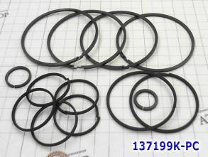 Комплект (13 шт) компрессионных тефлоновых колец TR-80SD / 0C8 (в т.ч. (SEALING RINGS)