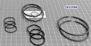 Комплект (10 шт) компрессионных чугунных и тефлоновых колец 6HP26 (в т (SEALING RINGS)