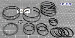 Комплект (20 шт) компрессионных тефлоновых колец, V4A51 / V5A51 / R5A5 (SEALING RINGS)