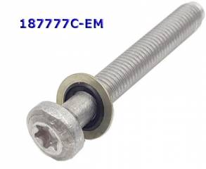 Болт плиты  масляного насоса 8HP90 / 8HP95 OIL PUMP M10 (TEMP ITEMS)