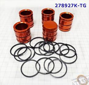 Комплект поршней аккумулятора  45RFE / 68RFE / 5-45RFE 2006-Up (VALVE BODY PARTS)