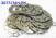 Комплект регулировочных колец дифференциала A6MF1 / A6MF2 (TEMP ITEMS) 45834-3B600