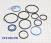 Комплект из 12-ти компрессионных тефлоновых колец BTR DSI-6 M11 Sealin 372199-PR (SEALING RINGS)